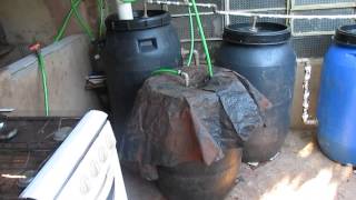 O Melhor Biodigestor  TOP BIODIGESTER   PARTE 2 [upl. by Annehcu]