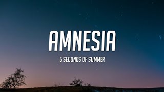 5 Seconds of Summer  Amnesia Lyrics 5SOS [upl. by Darmit]