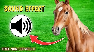 Horse 🐴 Sound Effect For Free  Non Copyright  Download Now 🙂  Free Download Try Again horse [upl. by Baugh]