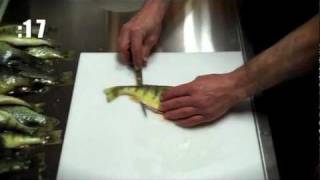 Fillet Perch in 45 SECONDS [upl. by Adnuahsor191]