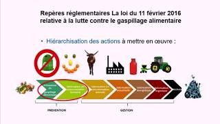 Organiser la lutte contre le gaspillage alimentaire [upl. by Everard]