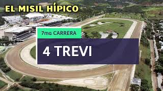 3 Fijos 🤑 y Un Eliminado 🏇 Domingo 13 OCTUBRE 🔥 🔥🔥EL MISIL HÍPICO🚀 [upl. by Pattie]