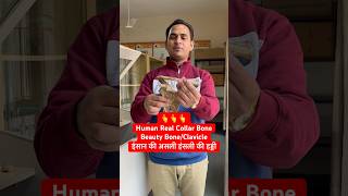 Human Real Beauty Bone  Collar BoneClavicle इंसान की असली हंसली की हड्डी viral trending shorts [upl. by Tearle]