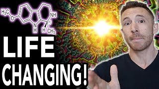 My INCREDIBLE Ayahuasca Experience Life Changing [upl. by Loftis]