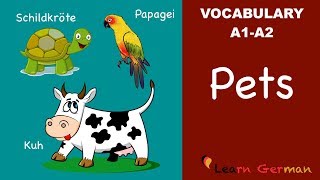 Learn German  German Vocabulary  Haustiere  Pets  A1 [upl. by Nylhsoj]