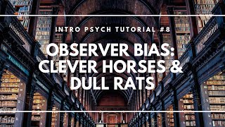 Observer Bias Clever Horses and Dull Rats Intro Psych Tutorial 8 [upl. by Jandy]