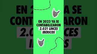 Crecimiento de la población de Lince Ibérico [upl. by Gamali]