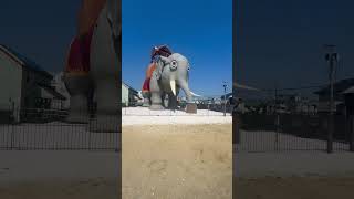 Lucy the Elephant in Margate City New Jersey shore 😎shorts [upl. by Didi]