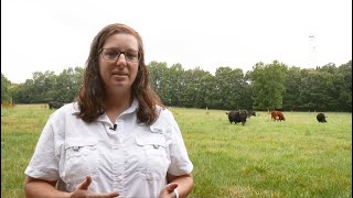 How to Control Pasture Weeds [upl. by Dione587]