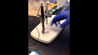 How to do a Weak AcidStrong Base Titration [upl. by Alleira]