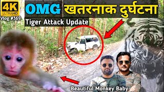 OMG‼️खतरनाक दुर्घटना❌😰 Tiger Attack Update  Dog Barking In Jungle  Monkey Baby  Wild Jungle Drive [upl. by Arlee615]