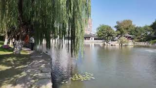 4K HDR Nanjing Live  YuYuan Jinling Lion Garden 2023 [upl. by Thomasin]