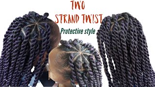 How toTwo Strand Twist Rubber Band Method  Protective Style [upl. by Nyllewell589]