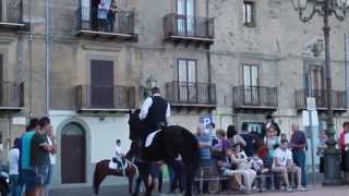 1° Gran Galà Equestre HD Città di Troina  20 Agosto 2014 [upl. by Yrian335]