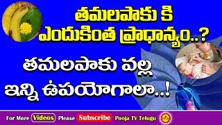 తమలపాకు వల్ల ఇన్ని ఉపయోగాలా  Tamalapaku Uses  Tamalapaku Upayogalu  Tamalapaku  Betel Leaves [upl. by Hulbig]