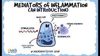 Mediators of Inflammation An Introduction [upl. by Atiseret]