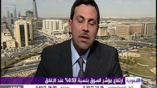 EFG Hermes AM Director Majed Kabbara on Al Arabiya 09 02 2014 [upl. by Karol]