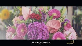 Interflora  The Flower Experts [upl. by Annam781]