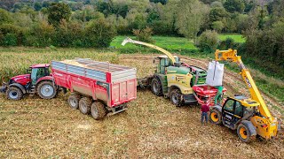 PREMIERE MACHINE ALIPLUSÉ 🌽  ENSILAGE MAÏS ÉPIS  ETA Vantomme [upl. by Rockwell]