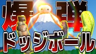 【年末年始コラボ】 室内で巨大爆弾ドッジボール 【GMOD】最終回 [upl. by Atiuqrehs]