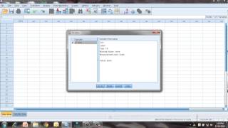 SPSS 22 Giới thiệu và hướng dẫn thống kê mô tả [upl. by Mccarty296]