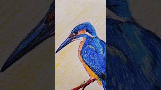 kingfisher drawing chhote se bhai ke liyeshorts [upl. by Naro]