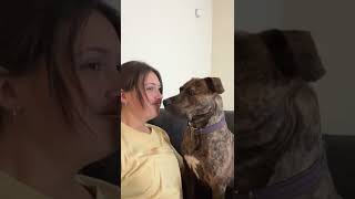 Girl barks at dog to see his reaction [upl. by Peirce120]