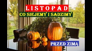 LISTOPAD  CO SIEJEMY I SADZIMY PRZED ZIMĄ [upl. by Akerdnuhs]