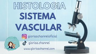 Histología para Medicina arterias venas capilares [upl. by Adabel796]