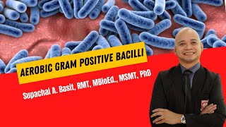 Aerobic Gram Positive Bacilli [upl. by Araccot]