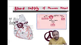 Blood supply of Heart Coronary circulationneetpg inicet fmge medicalentranceexam [upl. by Iinden]