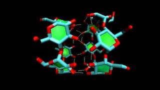 αcyclodextrin dimer molecular dynamics simulation [upl. by Anirad631]