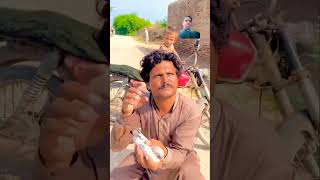 love birds pigeon villagelife 1000subscriber 100ksubcribers viralvideo comedy duet 100kvie [upl. by Cost]