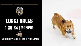 2024 Cyclones Corgi Races Championship [upl. by Jaquiss]