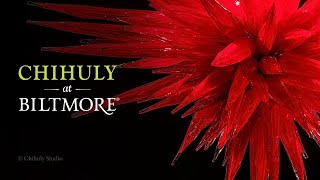 “Chihuly at Biltmore” Exhibition Teaser  Biltmore Asheville NC 2024 [upl. by Sisxela]