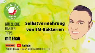 Die EMBakterien selber vermehren [upl. by Ettevroc301]