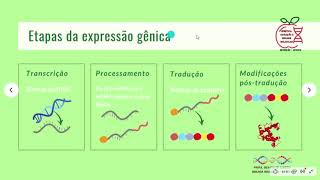 Aula Introdução de Expressão Gênica [upl. by Rip]