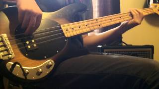 Red Hot Chili PeppersPink as Floyd Bass Cover [upl. by Ihsar636]