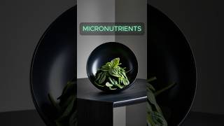 Micronutrients The Essential Powerhouses in Your Diet healthyfood motivation food [upl. by Yna963]