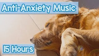 Calming Music for Puppies with Anxiety Soothing Lullabies for Anxious and Stressed Dogs Tested [upl. by Fausta]