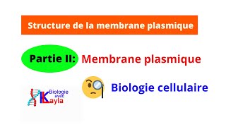 Membrane plasmique Structure et composition de la membrane plasmique [upl. by Ahsiken]