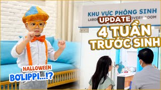 Lý Do Bà Bầu quotQuay Xequot Không Chọn Bệnh Viện Gần Nhà Đi Sinh Nữa amp Halloween Của Bơ❤️TrinhPham Family [upl. by Anirtap]