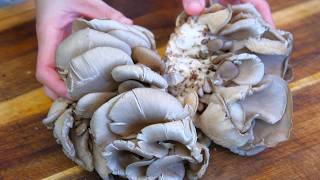 3 Minute Recipe  Oyster Mushroom Side Dish Tastes Better Than Meat [upl. by Richardson]