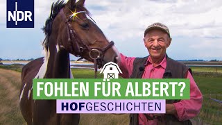 Tierarzt bei Alberts Pferden  Hofgeschichten 151  NDR auf’m Land [upl. by Greiner]