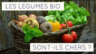 Le BIO estil vraiment cher  1 Les Légumes [upl. by Nahsaj871]