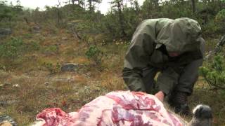 How to Quarter and Pack Game out of the Backcountry  Conservation Field Notes with Steven Rinella [upl. by Doll735]