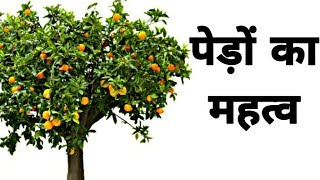 पेड़ों का महत्व  Importance Of Trees In Hindi  Kidos Edu Point [upl. by Bekaj107]