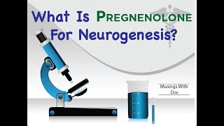 What is Pregnenolone and Why is It So Important For Repairing the Brain [upl. by Katlin]