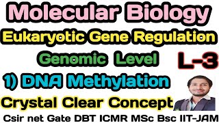 Eukaryotic Gene RegulationL3Mechanism of gene Regulation by DNA Methylation in EukaryotesCsirnet [upl. by Rekoob]