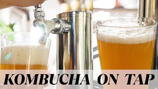 Homemade Kombucha on Tap [upl. by Coats]